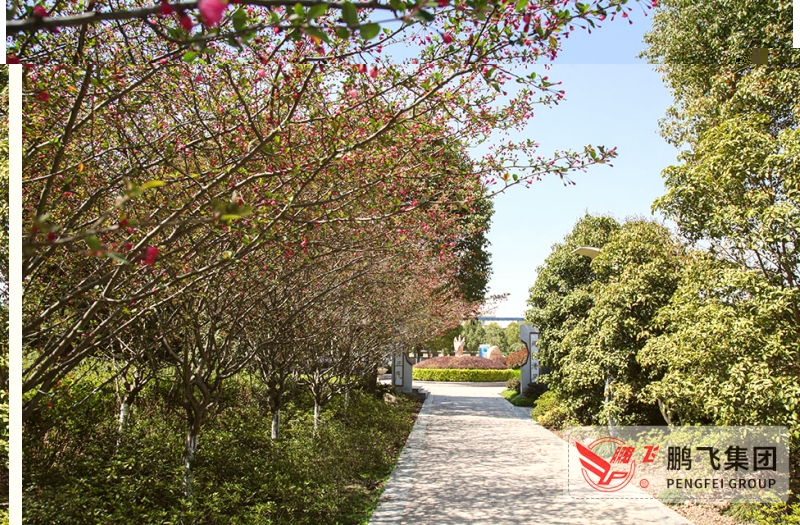 91精品国产一区二区三区动漫文化广场